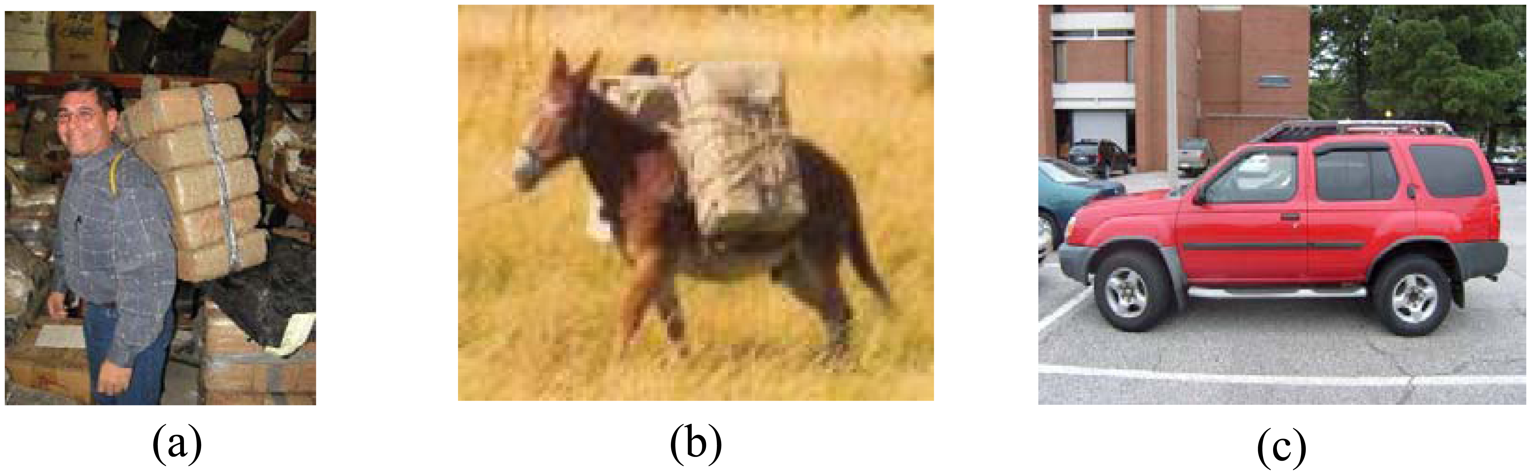 Sensors 08 07996f1 1024