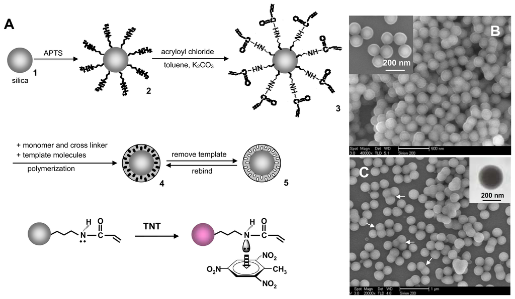 Imprinting of Molecular Recognition Sites on Nanostructures and Its ...