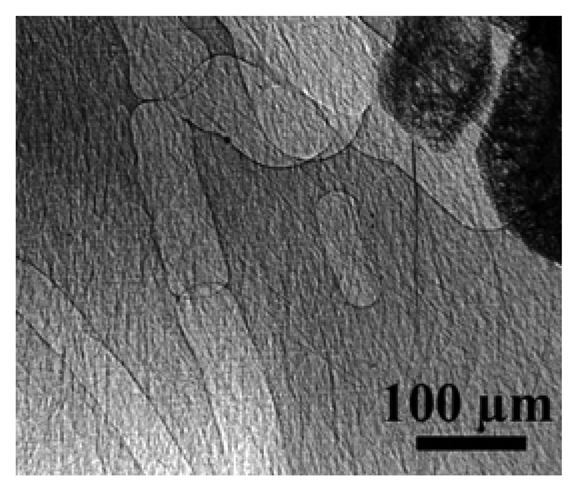 Sensors 08 08378f1 1024