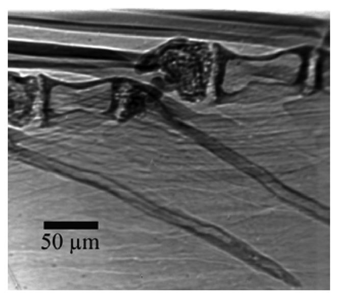 Sensors 08 08378f17 1024