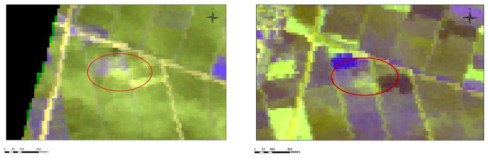 Sensors 09 01167f4 1024