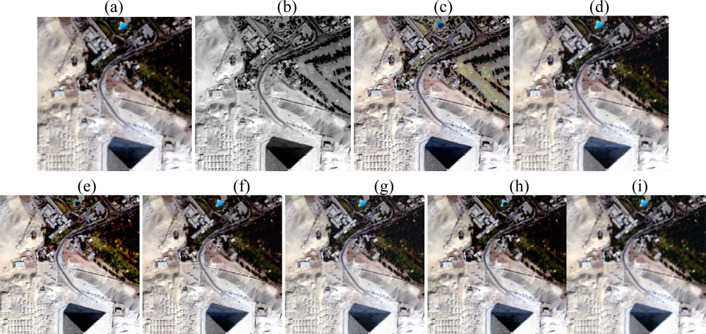 Sensors 09 01370f4 1024