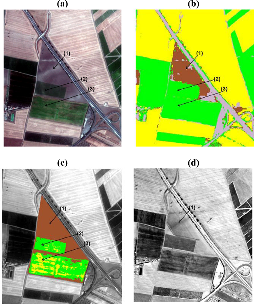 Sensors 09 01754f2 1024