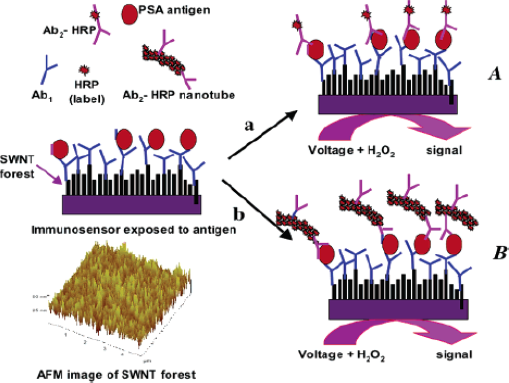 Sensors Free FullText Electrochemical Sensors Based on Carbon