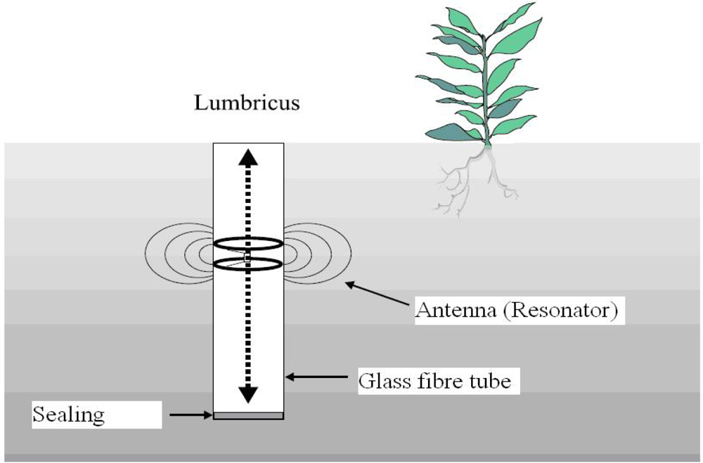 Sensors 09 02951f1 1024