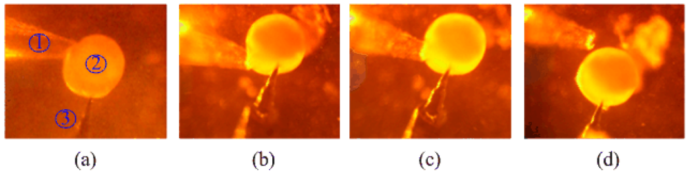 Sensors 09 03325f9 1024