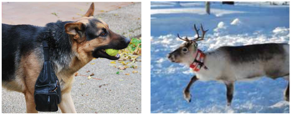 Sensors 09 03942f10 1024