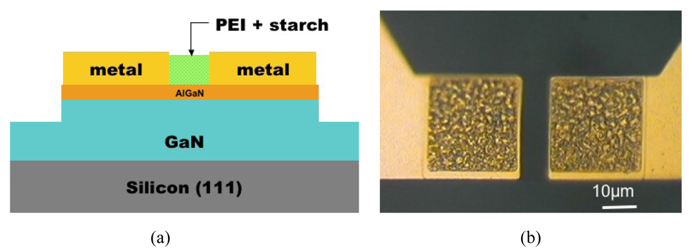 Sensors 09 04669f14 1024
