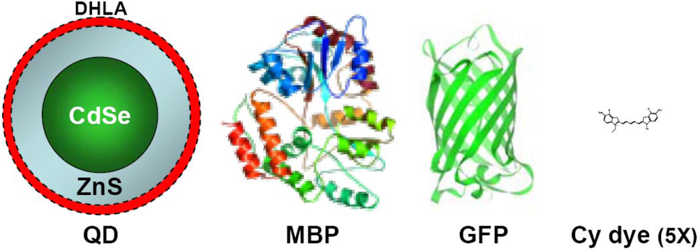 Sensors 09 05149f2 1024