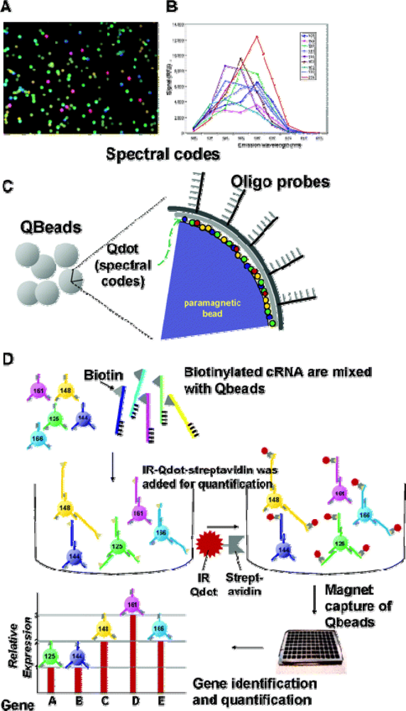 Sensors 09 05149f7 1024