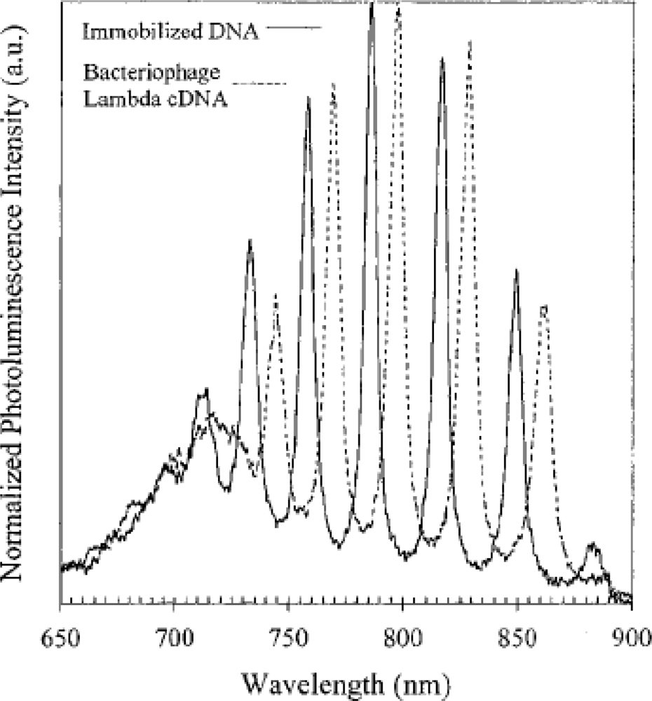Sensors 09 05149f9 1024