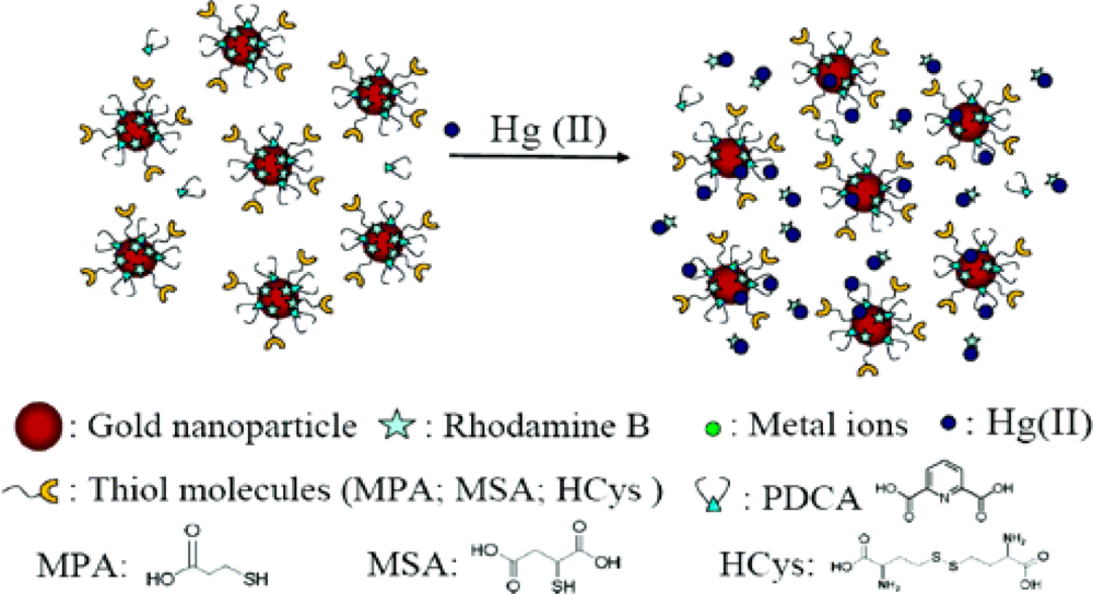 Sensors 09 05446f5 1024