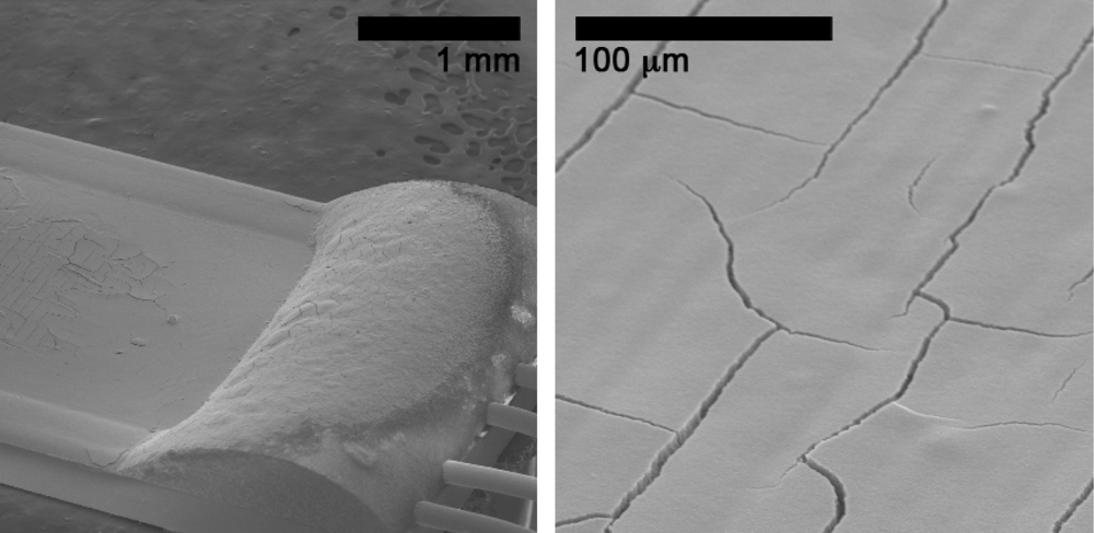 Sensors 09 06853f11 1024