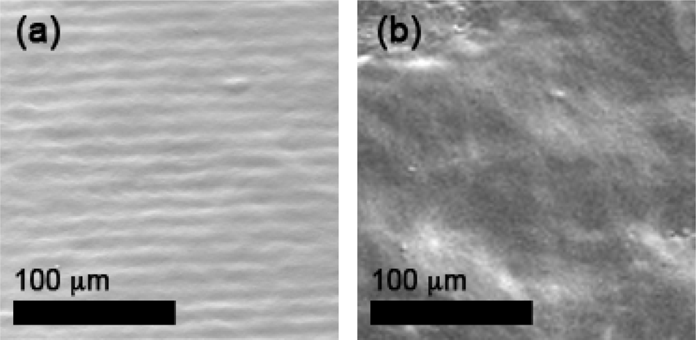 Sensors 09 06853f13 1024