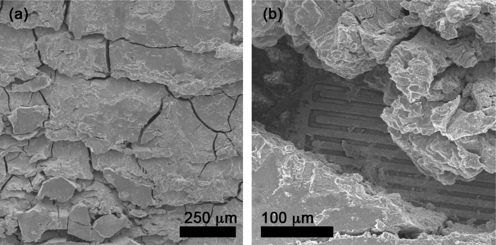 Sensors 09 06853f8 1024