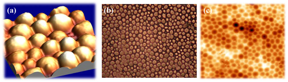 Sensors 09 08146f7 1024