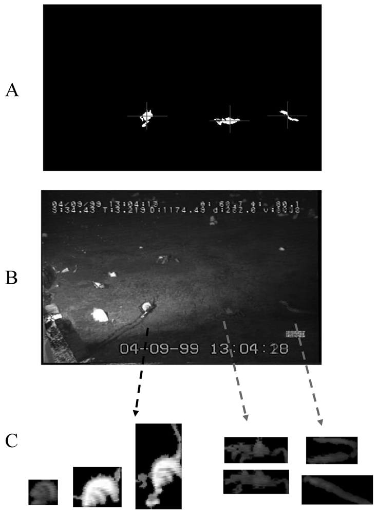 Sensors 09 08438f3 1024