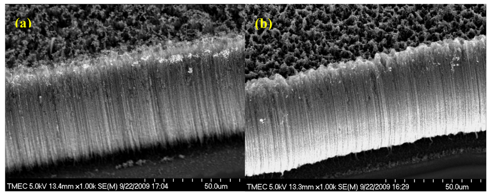 Sensors 09 08658f2 1024