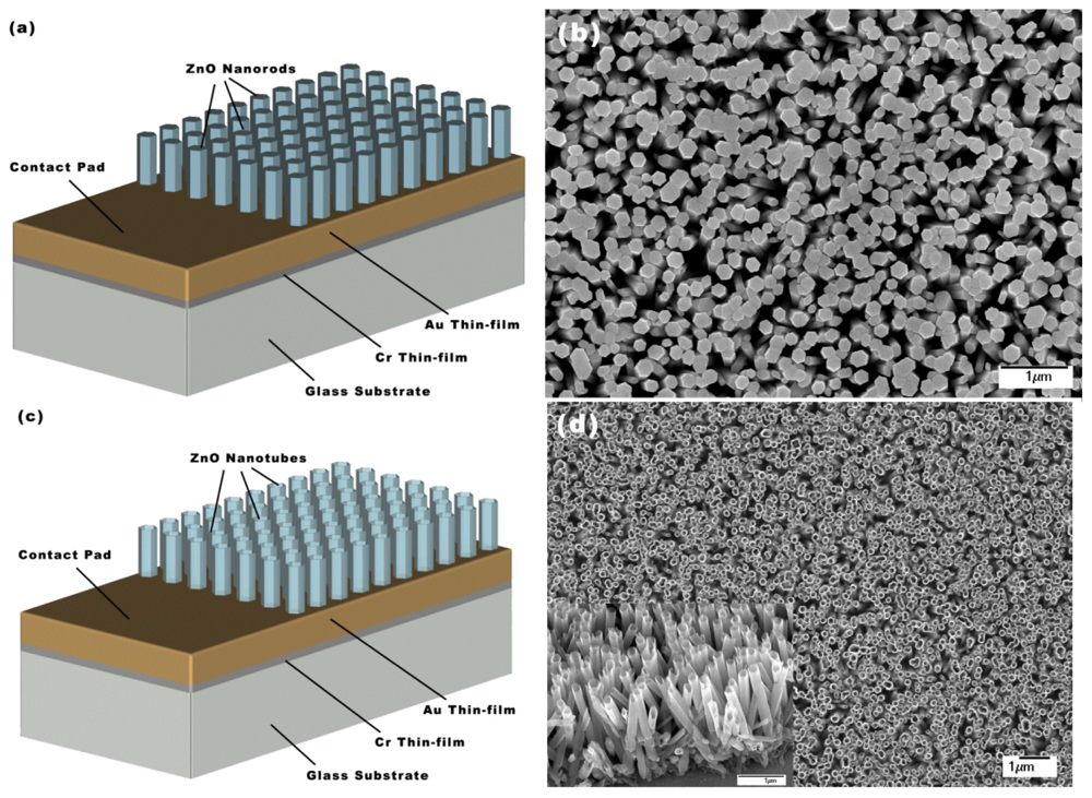 画像 Miniaturized pH Sensors Based on Zinc Oxide Nanotubes/Nanorods