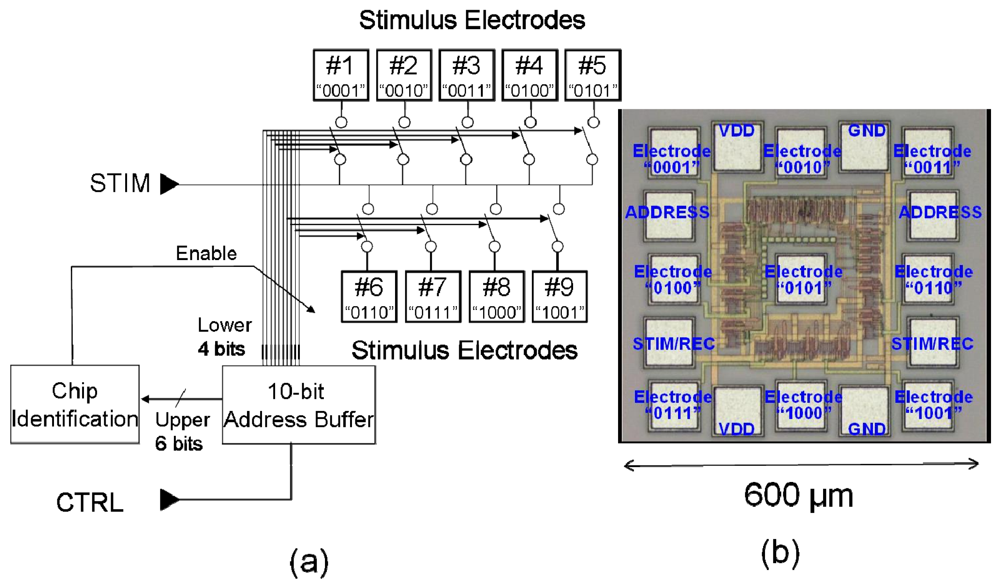 Sensors 09 09073f11 1024