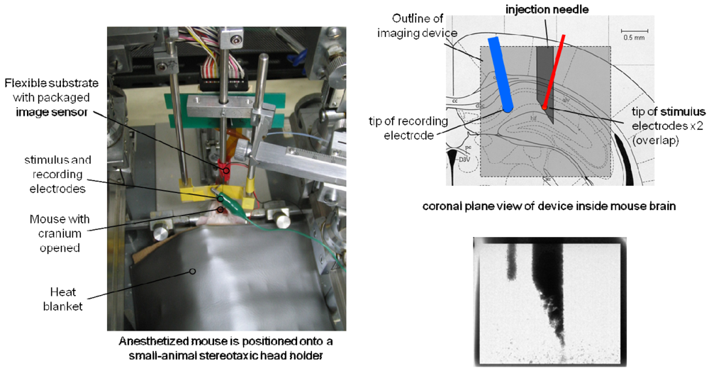 Sensors 09 09073f18 1024