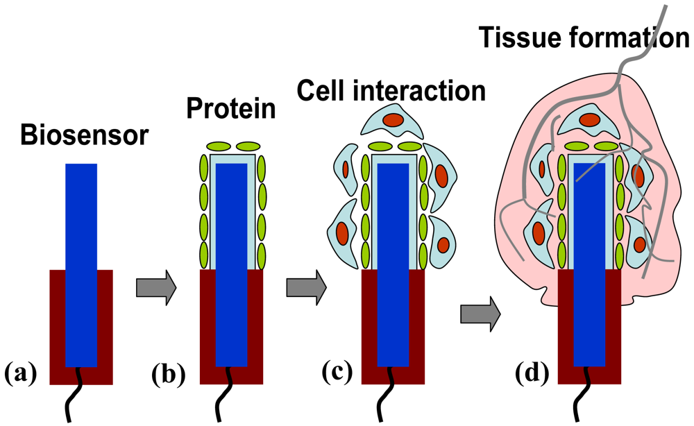 Sensors 09 09275f10 1024