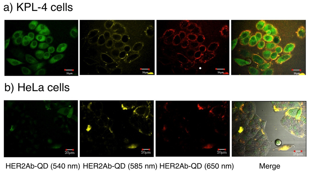 Sensors 09 09332f10 1024