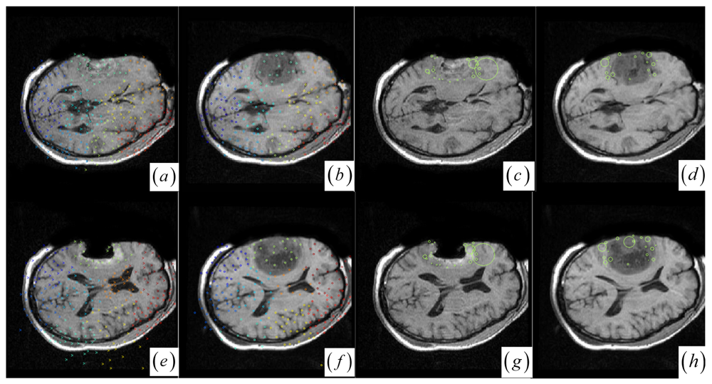 Sensors 09 10270f2 1024