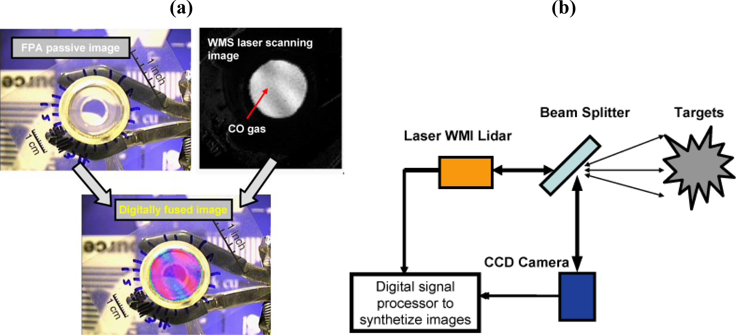 Sensors 10 00544f16 1024