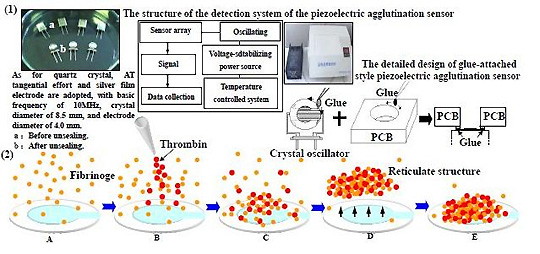 Sensors | Free Full-Text | Quantitative Determination of Fibrinogen of