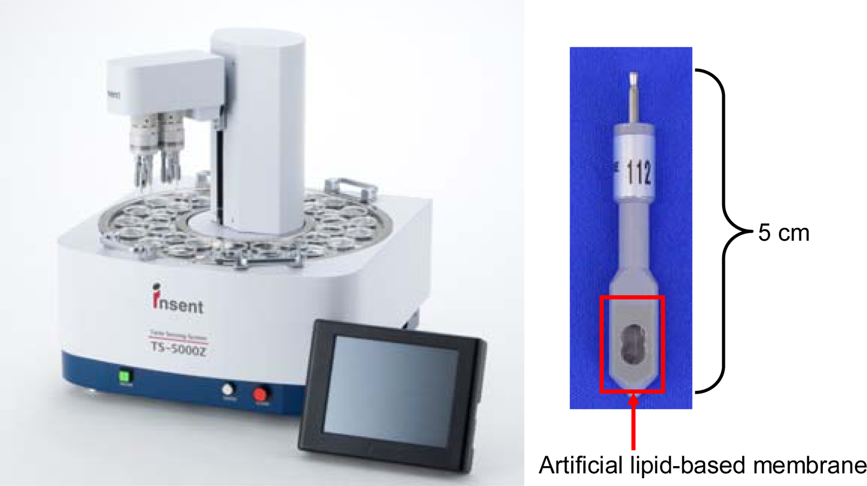 Sensors Free FullText Advanced Taste Sensors Based on Artificial