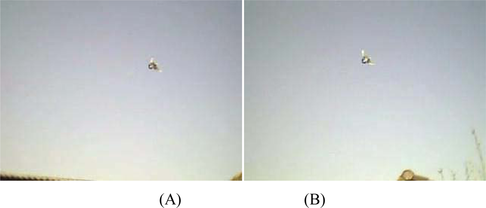 Sensors 10 03480f14a