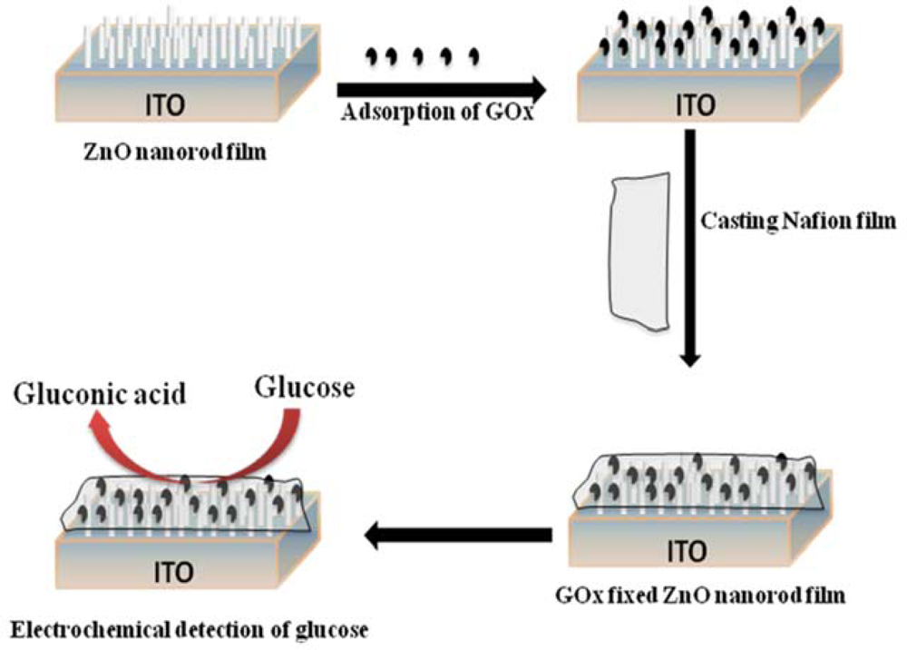 A Comprehensive Review of Glucose Biosensors Based on Nanostructured ...
