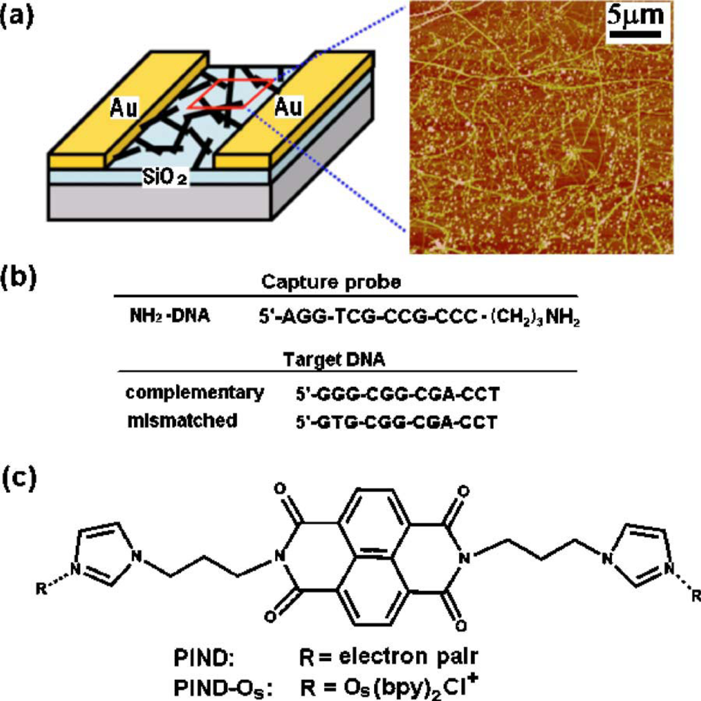 Sensors 10 05133f3 1024