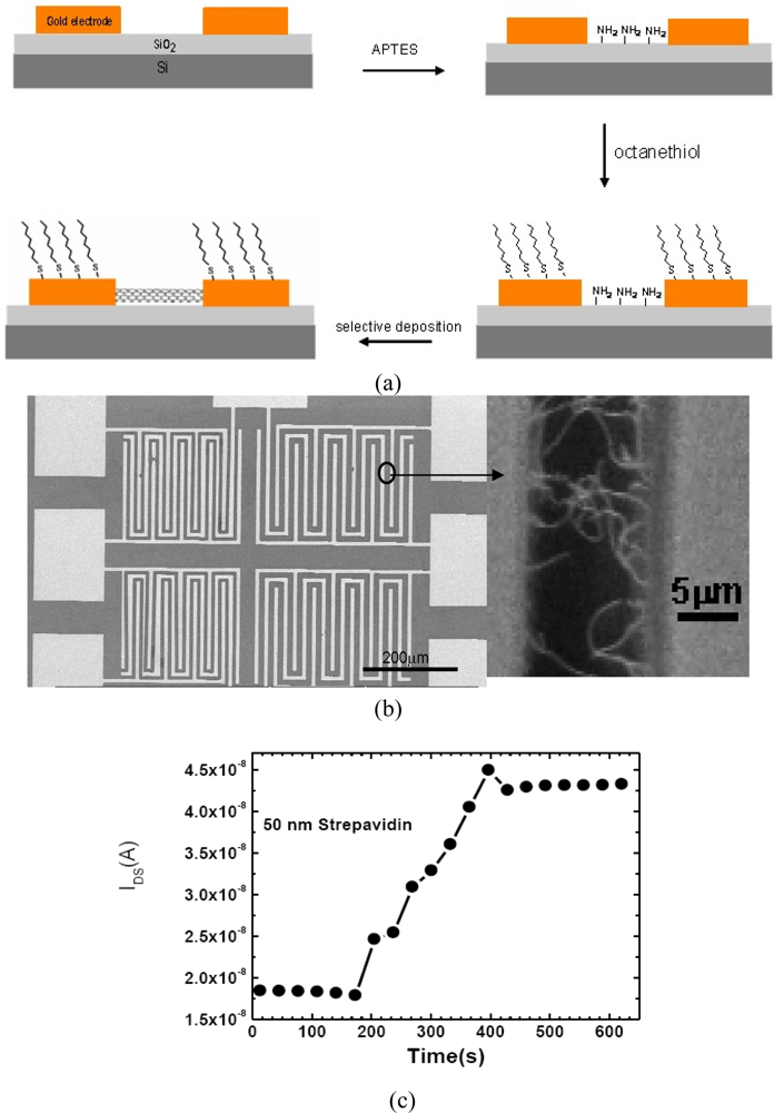 Sensors 10 05133f5a 1024