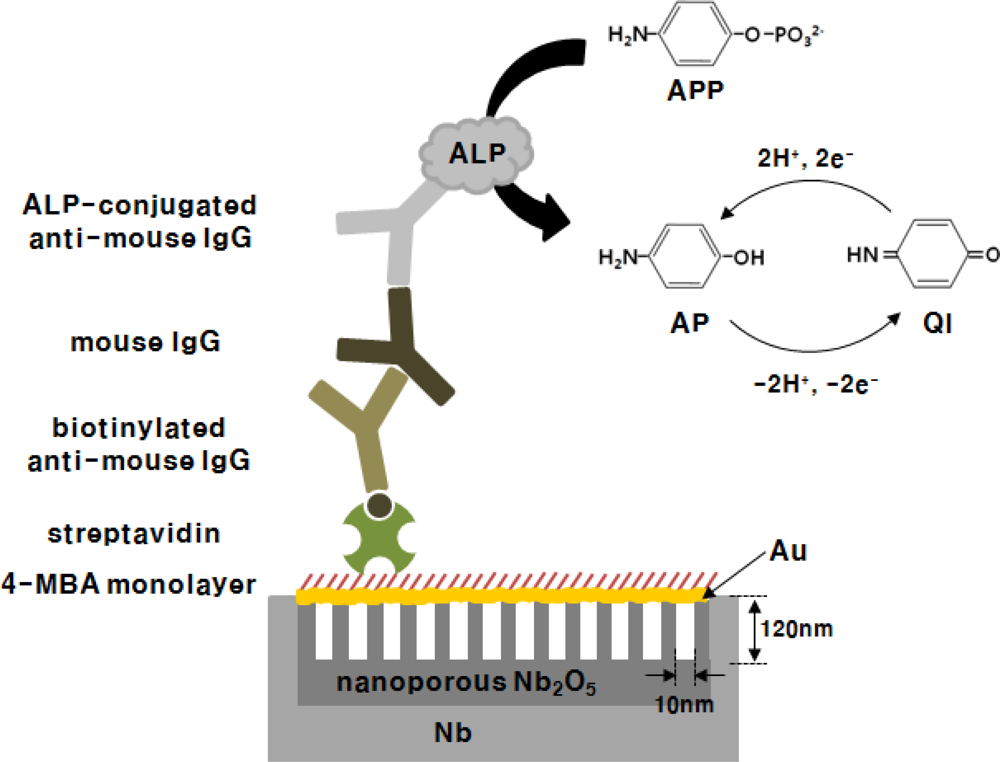 Sensors 10 05160f5 1024