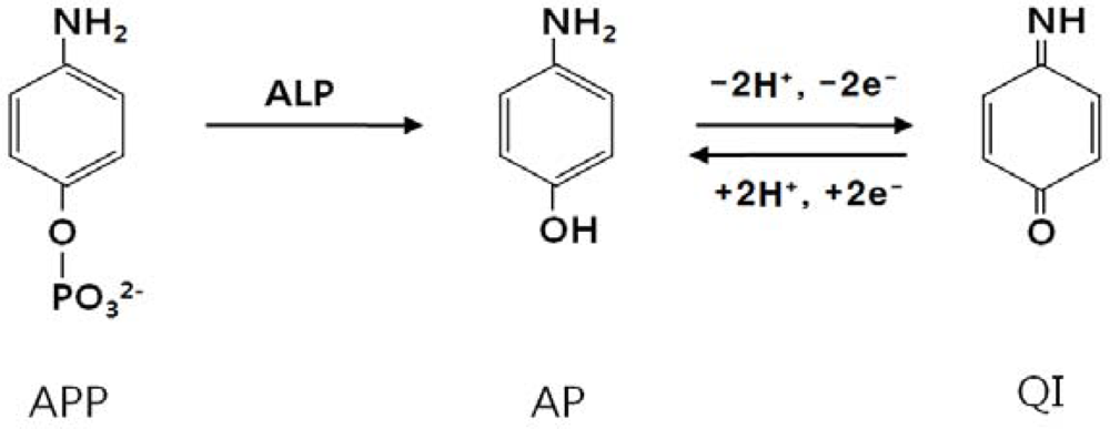 Sensors 10 05160f6 1024