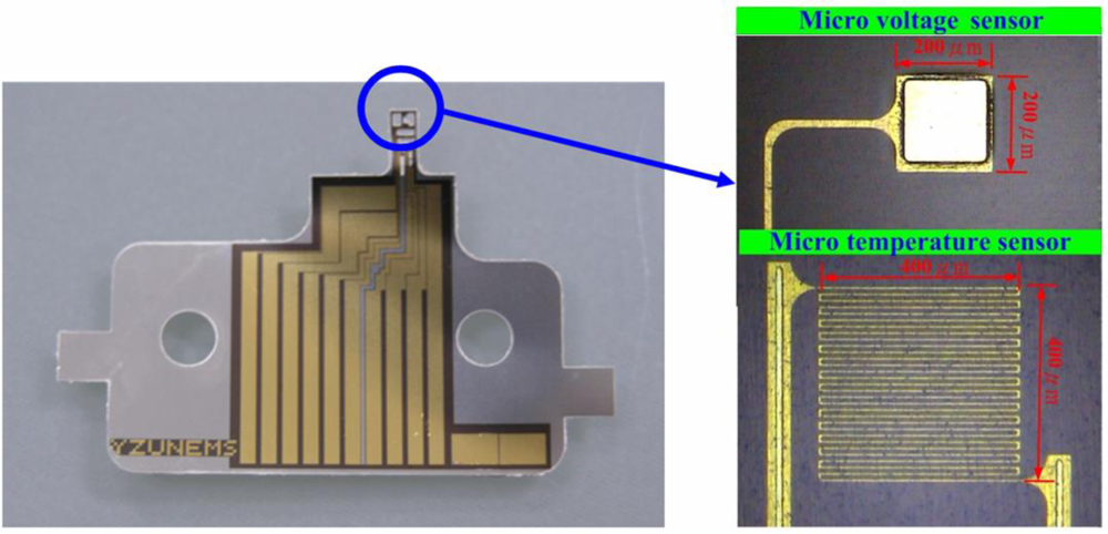Sensors 10 06395f3 1024