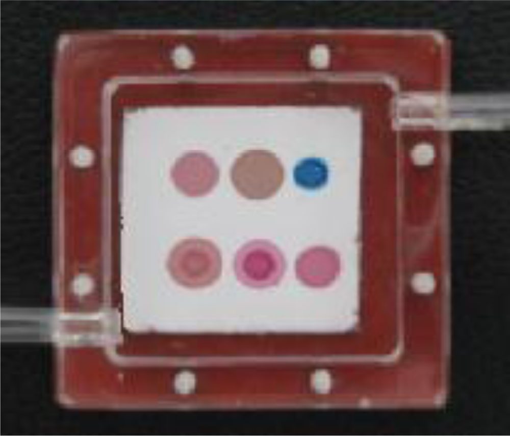 Sensors 10 06463f2 1024