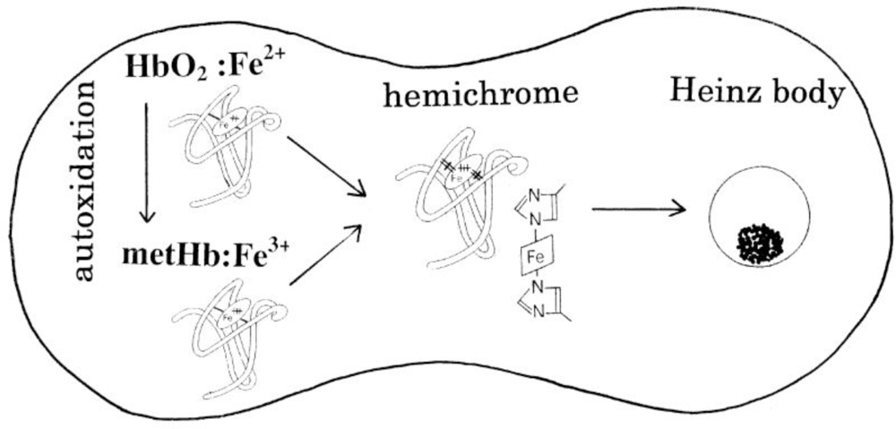 Sensors 10 07099f10 1024