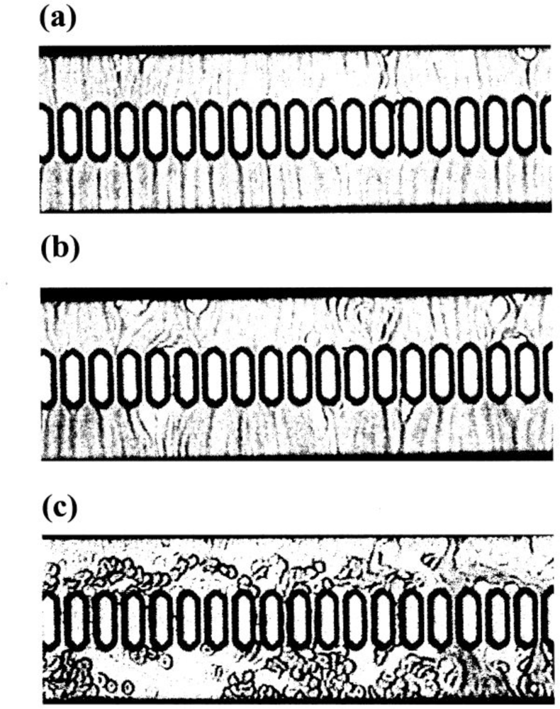 Sensors 10 07099f7 1024