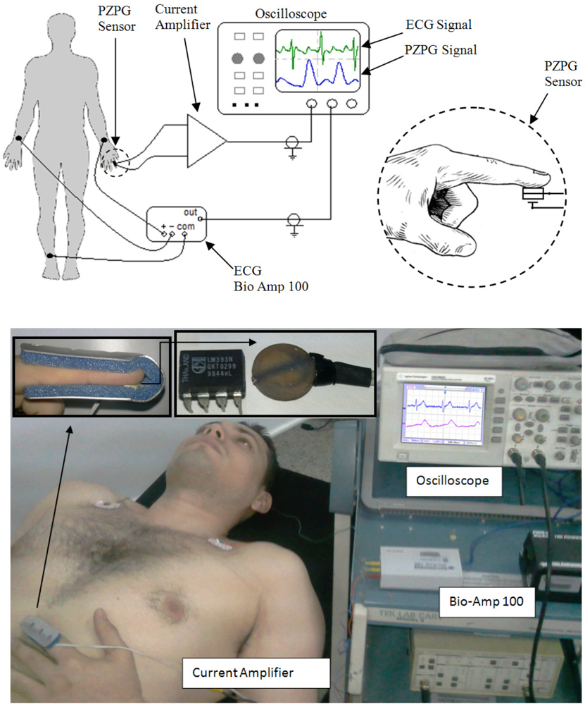 Sensors 10 07146f8 1024