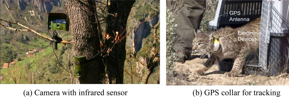 Sensors 10 07236f1 1024