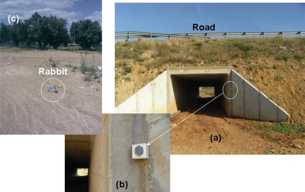 Sensors 10 07236f15 1024