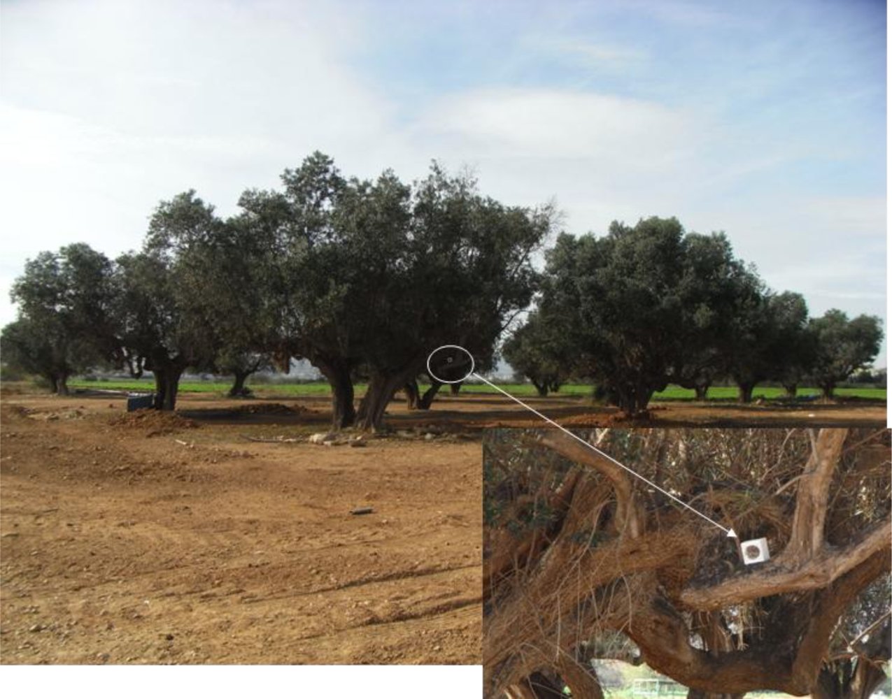 Sensors 10 07236f16 1024