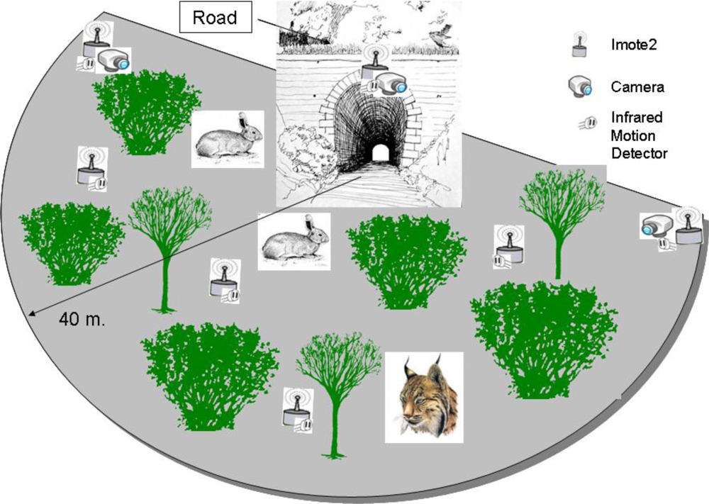 Sensors 10 07236f2 1024