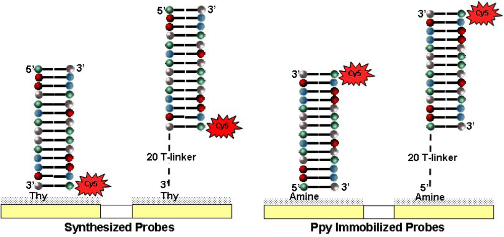 Sensors 10 07371f8 1024