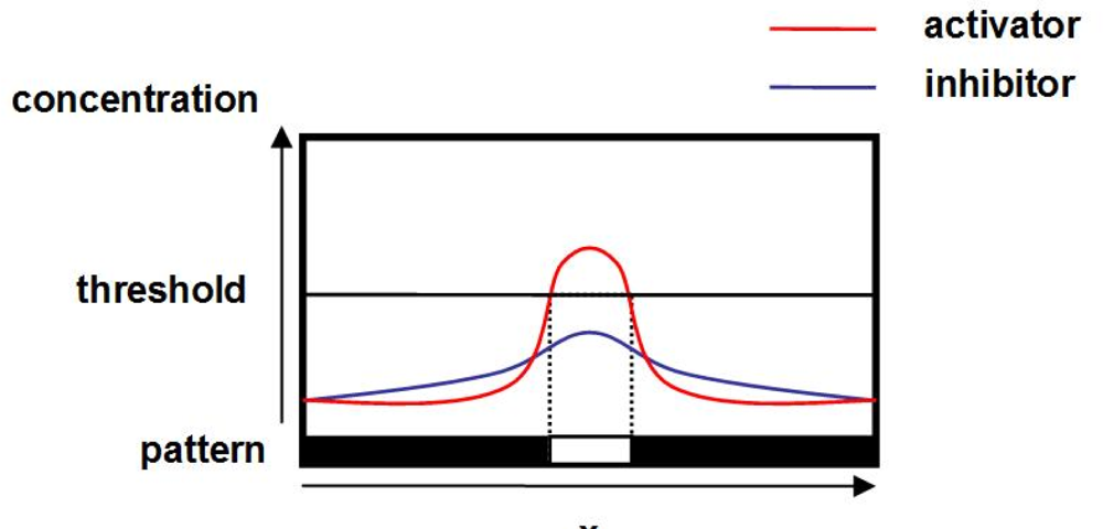 Sensors 10 07651f2 1024