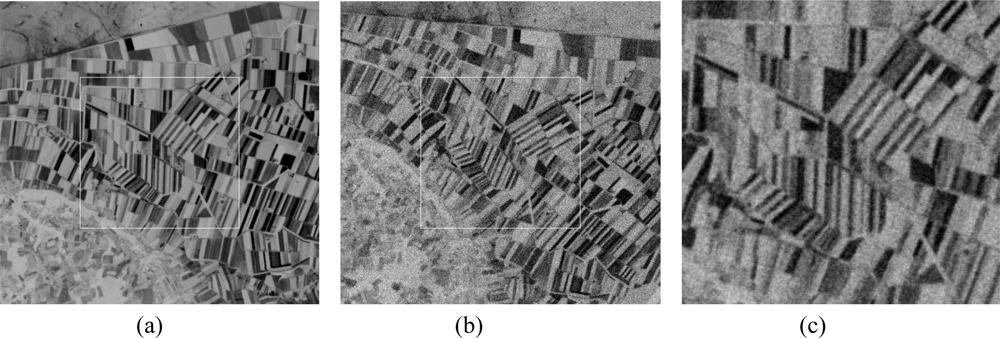 Sensors 10 08553f10 1024