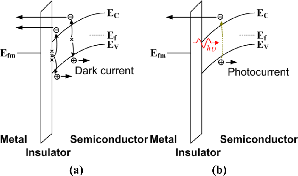 Sensors Free FullText MetalInsulatorSemiconductor Photodetectors